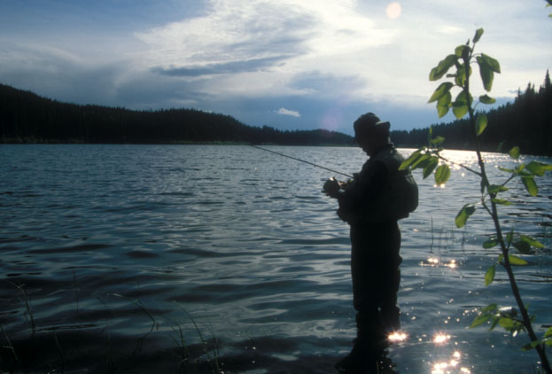 �t���C��I�Ԓނ�l