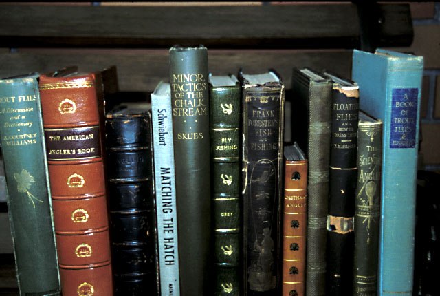 �ÓT�I�Ȓނ�̖{