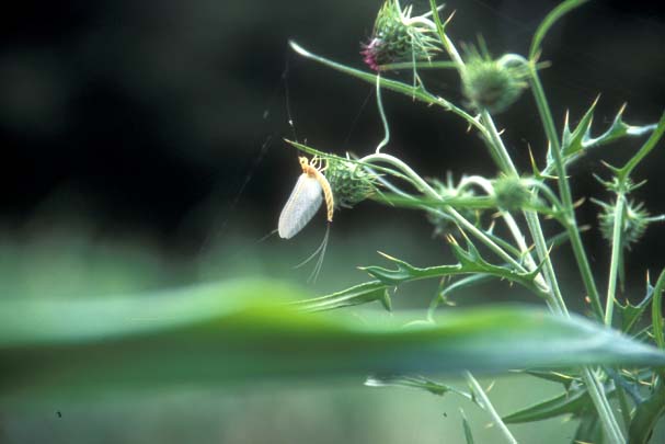 �@�t�^�X�W�����J�Q���E